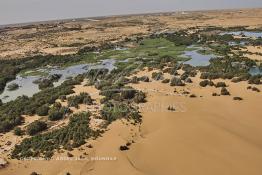 Image du Maroc Professionnelle de  Vue aérienne de la partie stagnante de la Sakia Al Hamra au environ de Laayoune où des oiseaux migrateurs comme les flamants roses trouvent refuge et repos durant leur voyage selon la saison, le 9 Avril 2010. (Photo / Abdeljalil Bounhar)


 